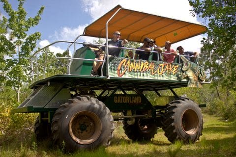 swamp buggy rides near me