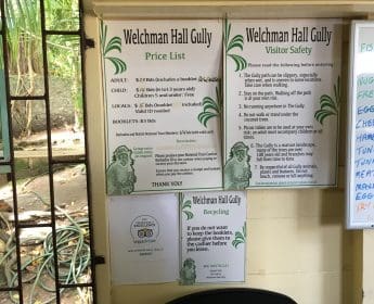 Welchman Hall Gully